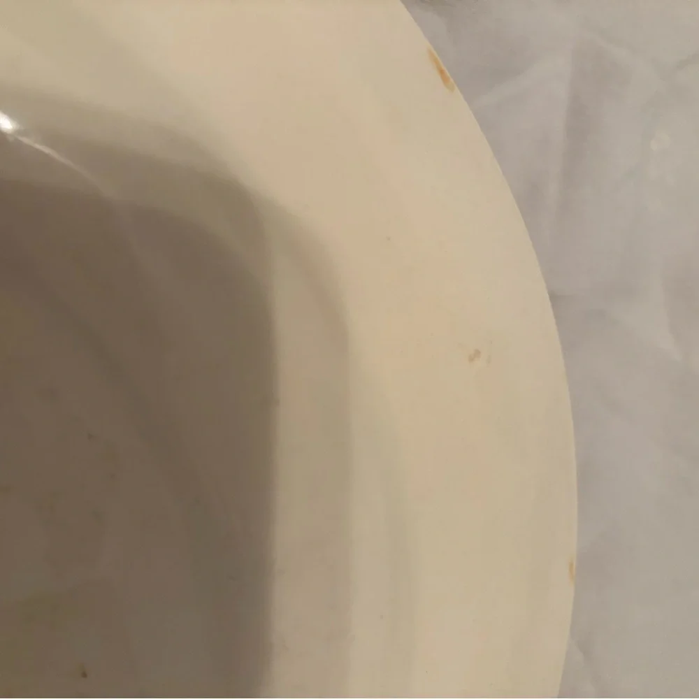 Vintage Wood & Sons country green dinner plate